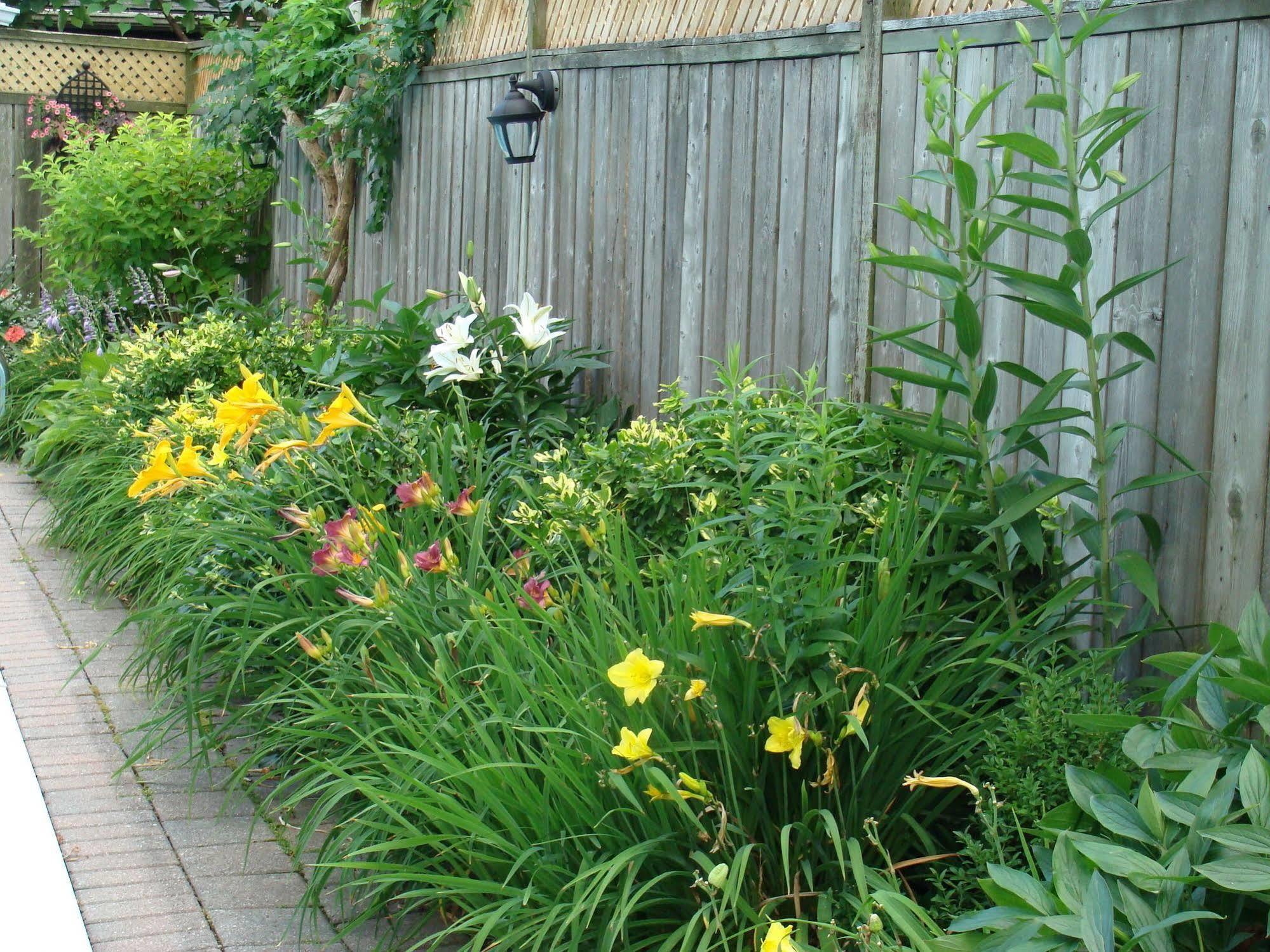 Bed and Breakfast Robinsong Thorold Экстерьер фото
